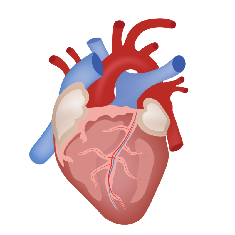 Nail Growth Oil Results