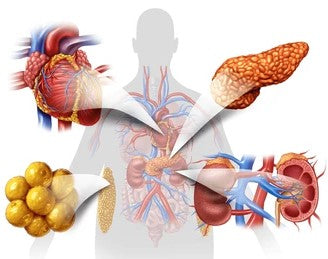 Nail Growth Oil Results